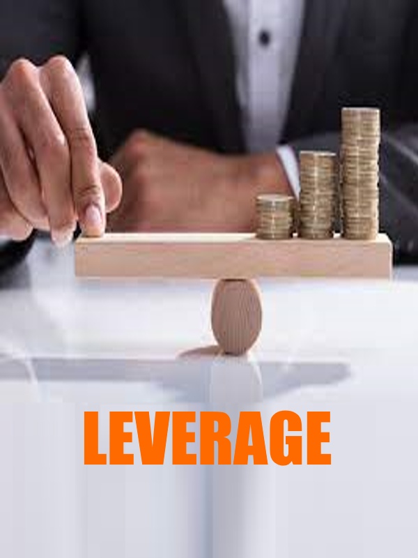 Financial Leverage Delta Trading Group Inc